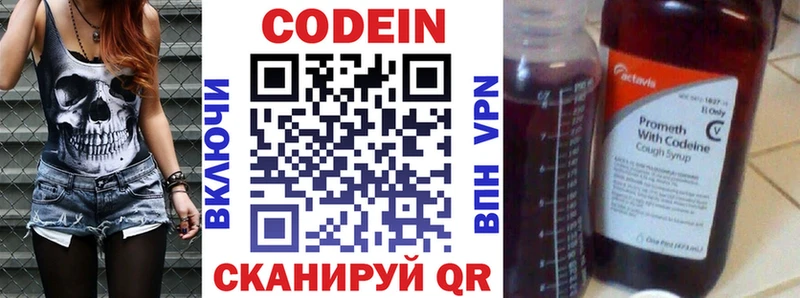 Купить закладки  Гатчина  Кодеиновый сироп Lean Purple Drank 