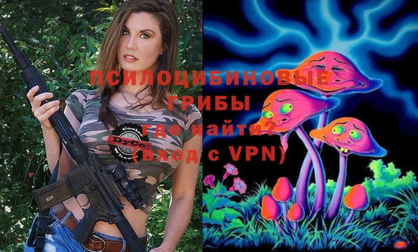 стаф Алзамай