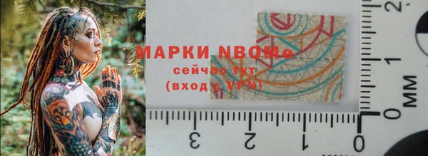 стаф Алзамай