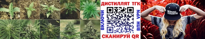 Купить закладки  Гатчина  ТГК жижа 