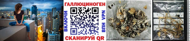 Галлюциногенные грибы Magic Shrooms Купить где Гатчина